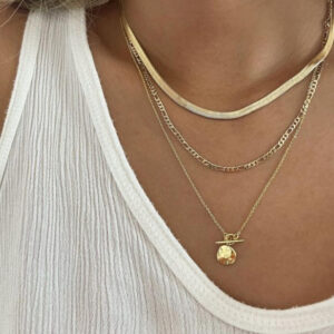 81bf1d82-6868-465c-8673-4faedfa98edb_fine.jpeg European And American Coin Snake Bone Three-layer Necklace For Women