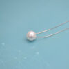 Jewelry Fashion Clavicle Necklace