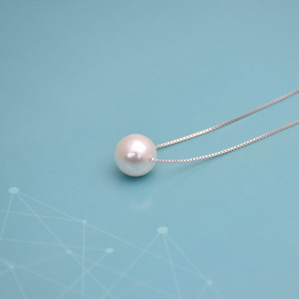 Jewelry Fashion Clavicle Necklace